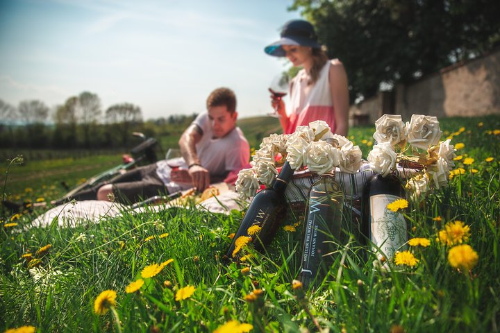 Enjoy a picnic with local food and wines in the middle of a vineyards (when weather allows)